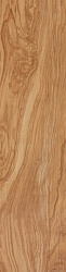 Aj8e 22.5x90 etic ulivo 22.5x90