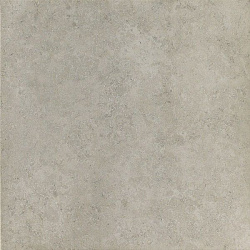 610010000724 нова фог  рет 60x60