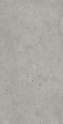 610010005699 ава.сильвер 80x160 рет