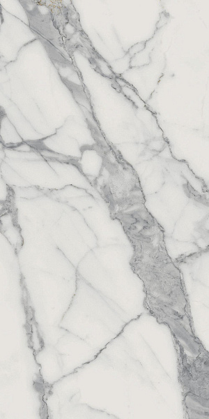 610015000402 шарм эво флор проджект статуарио люкс 60x120