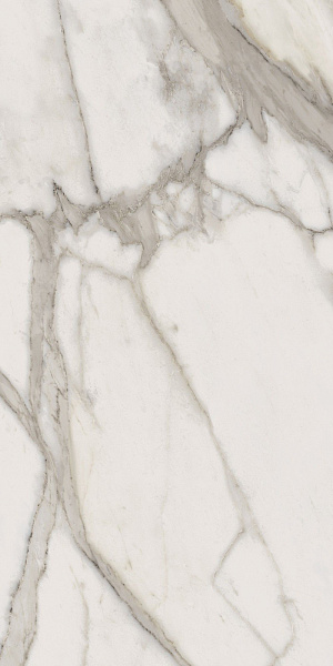 600010000892 шарм эво уолл проджект калакатта  25x75